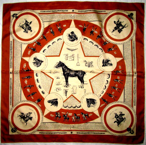 Foulard autour cheval - foulard, cheval"